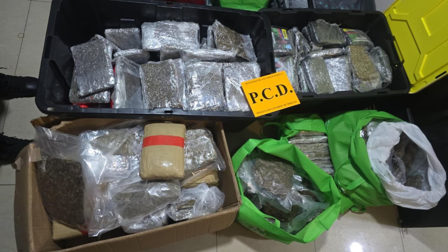 la-senora-de-los-perros-narco-arsenal-san-jose
